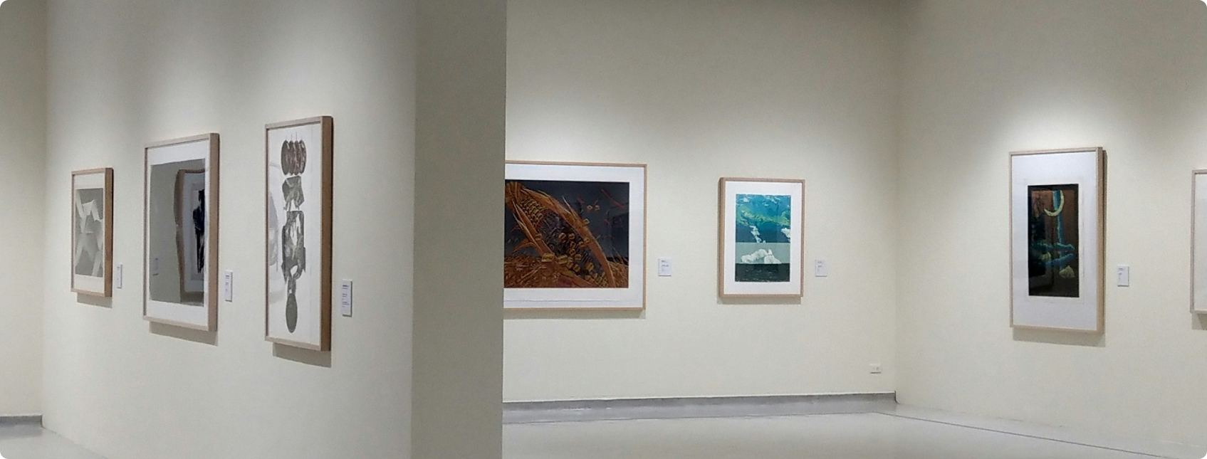 Galeria com paredes brancas e várias obras emolduradas em exposição.