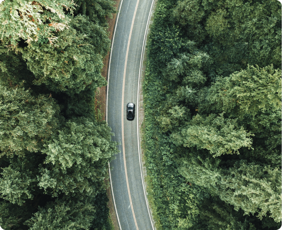 Fotografia aérea de carro em uma estranha com curva para a direito no meio das árvores.