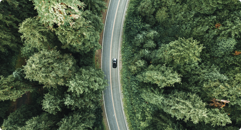 Carro percorre estrada sinuosa cercada por floresta vista de cima.