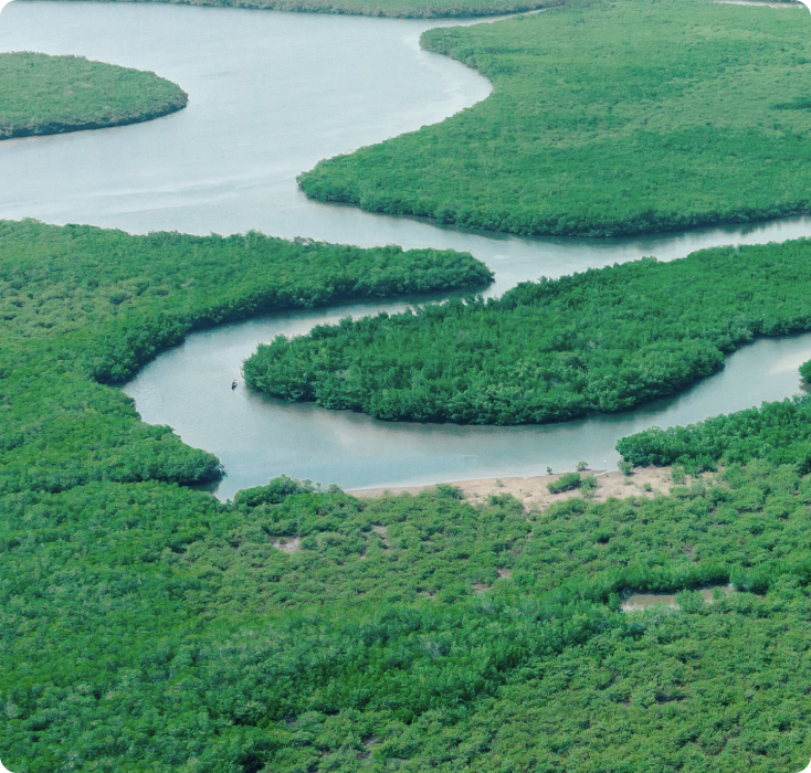 Rio serpenteia entre áreas verdes visto de cima, em cenário natural.