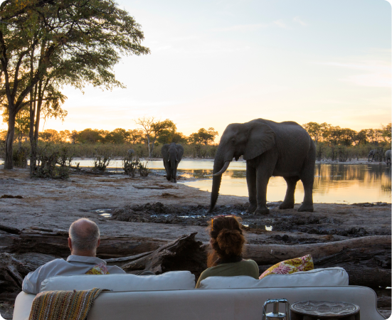Casal observa elefantes ao pôr do sol em paisagem de safari.