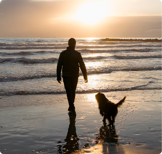 Pessoa e cachorro caminham na praia ao pôr do sol com reflexo na água.