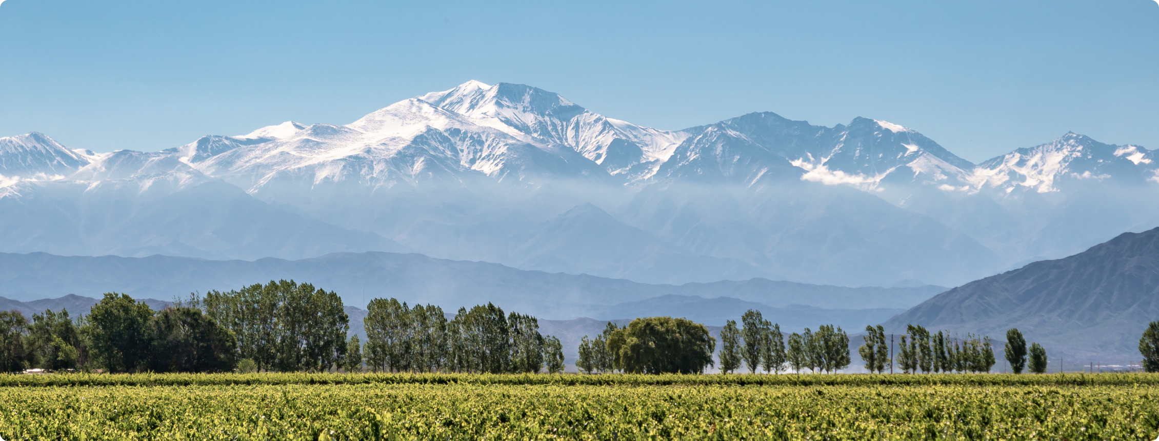 Campo verde, árvores e montanhas nevadas ao fundo sob céu claro.
