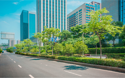 Avenida com árvores em um canteiro e prédios ao fundo em uma iniciativa da sustentabilidade empresarial