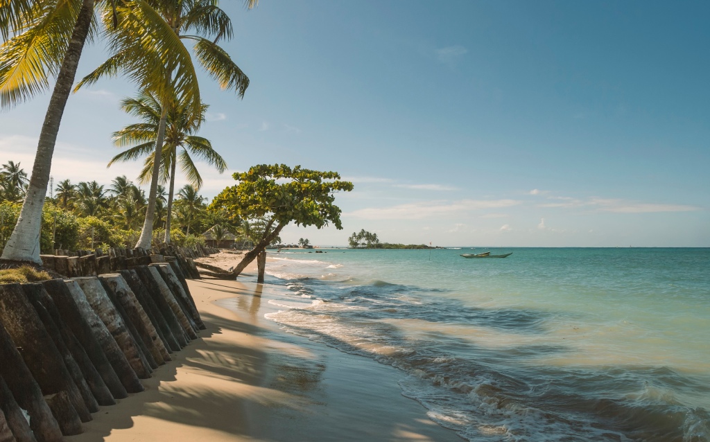 Praia tranquila com palmeiras, mar calmo e céu azul em um dia ensolarado. Ideal para relaxar e apreciar a natureza.