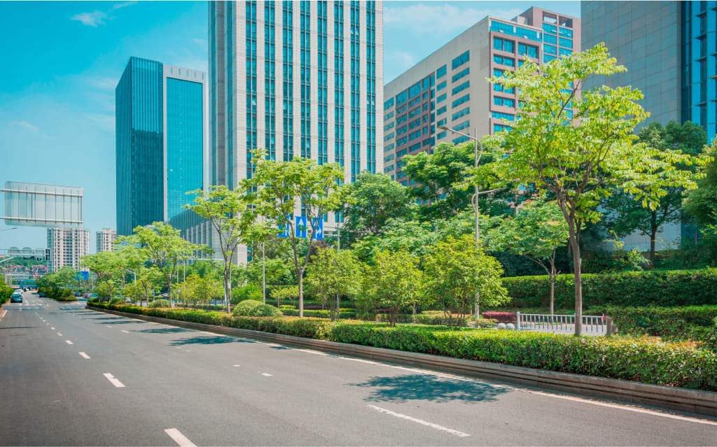 foto tirada de paisagem urbana, com prédios modernos ao funndo, árvores em segundo plano e estrada em primeiro plano, representando o que é esg