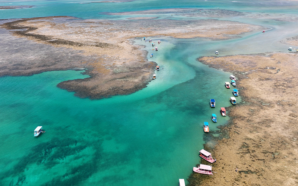 Vista aérea de um belo conjunto de barcos coloridos flutuando em águas cristalinas, com formações de corais visíveis no fundo do mar.