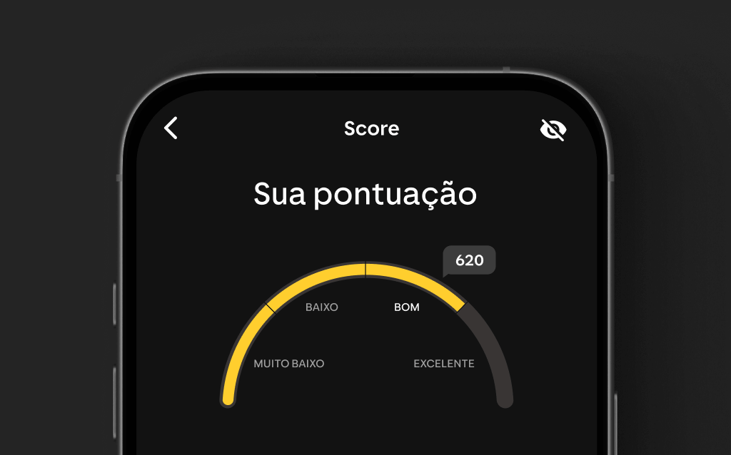 Tela de um celular mostrando a pontuação de um score