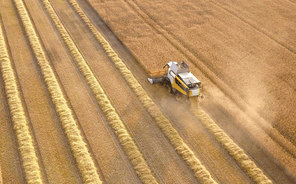 Plantação, representando o CRA (Certificado de Recebíveis do Agronegócio).