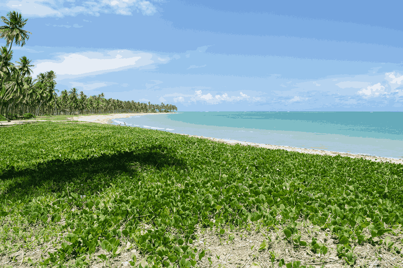 Praia de João Pessoa