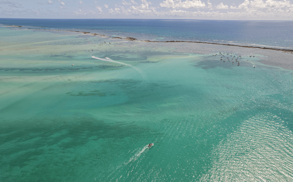 Paisagem em Maragogi, litoral de Alagoas