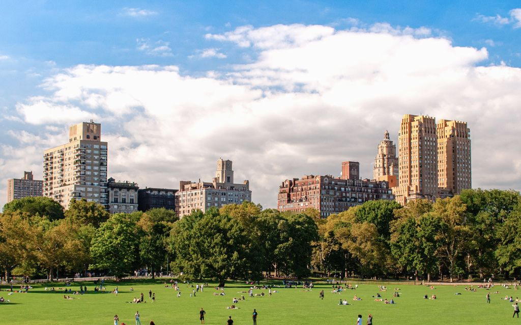 central park | campos verdes com pessoas descansando, no fundo árvores e os prédios de NYC