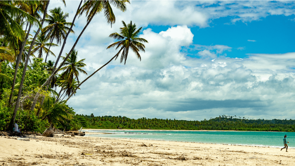Foto panorâmica da Ilha de Boipeba com coqueiros e duas pessoas à vista.
