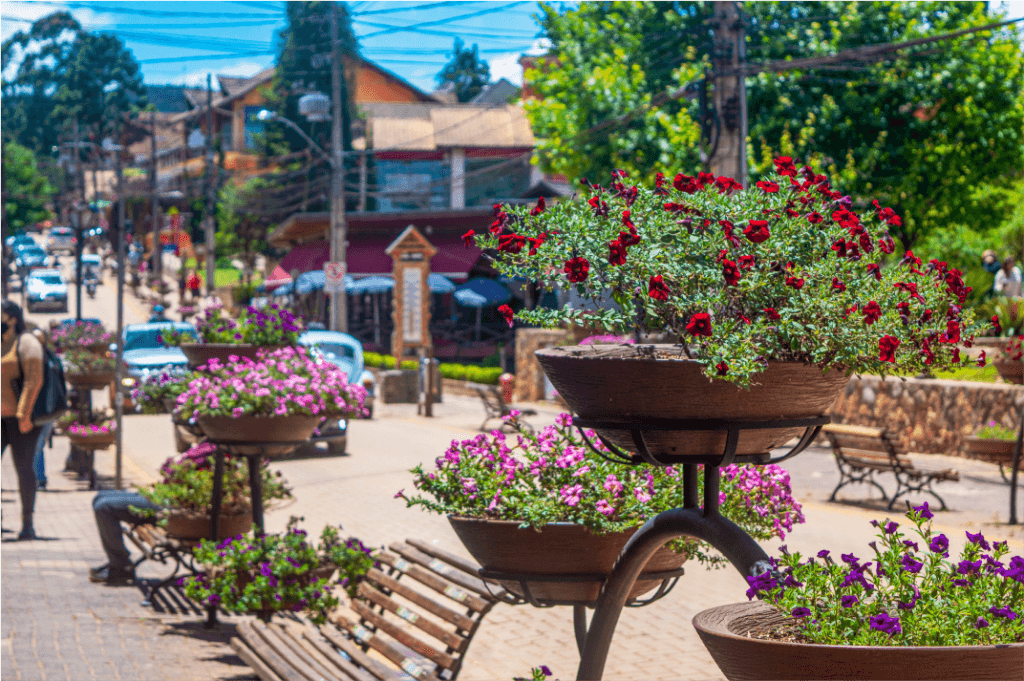 Imagem de diversos vasos de flores em alguma rua tradicional de Monte Verde.