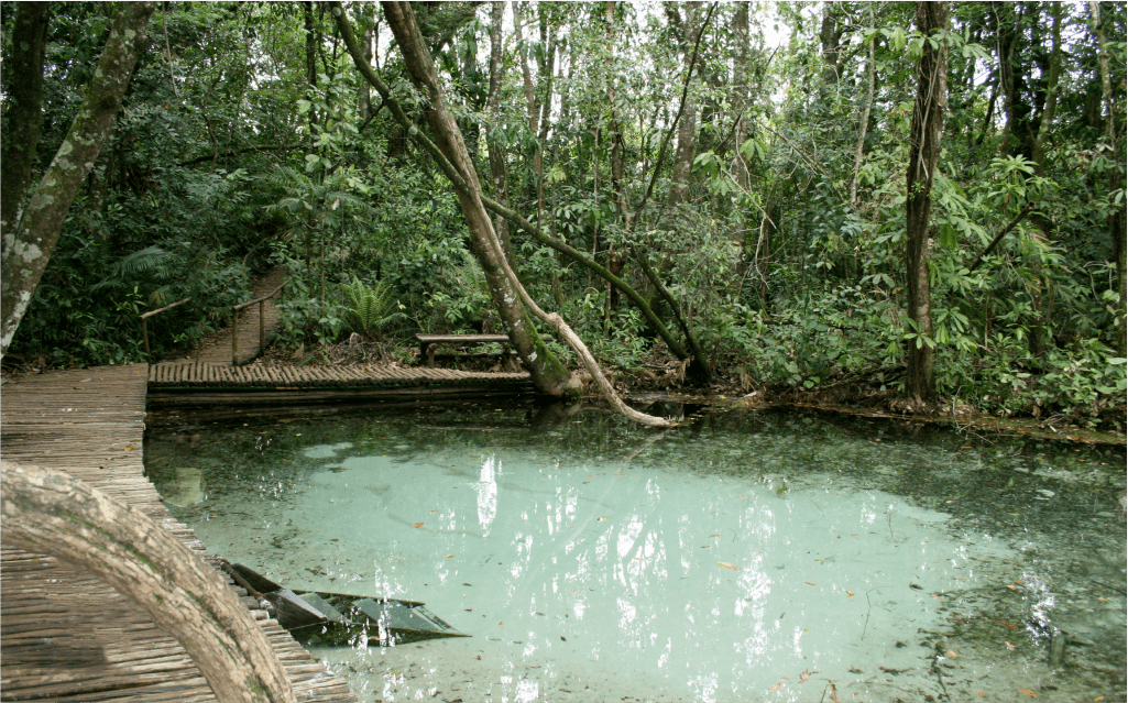 Imagem de uma piscina natural cristalina no meio da mata em Brotas.