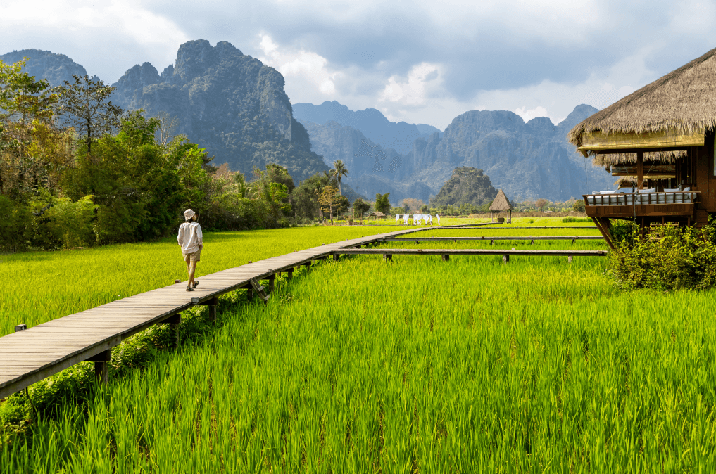 Imagem de uma ponte acima da grama com montanhas de Vang Vieng ao fundo.