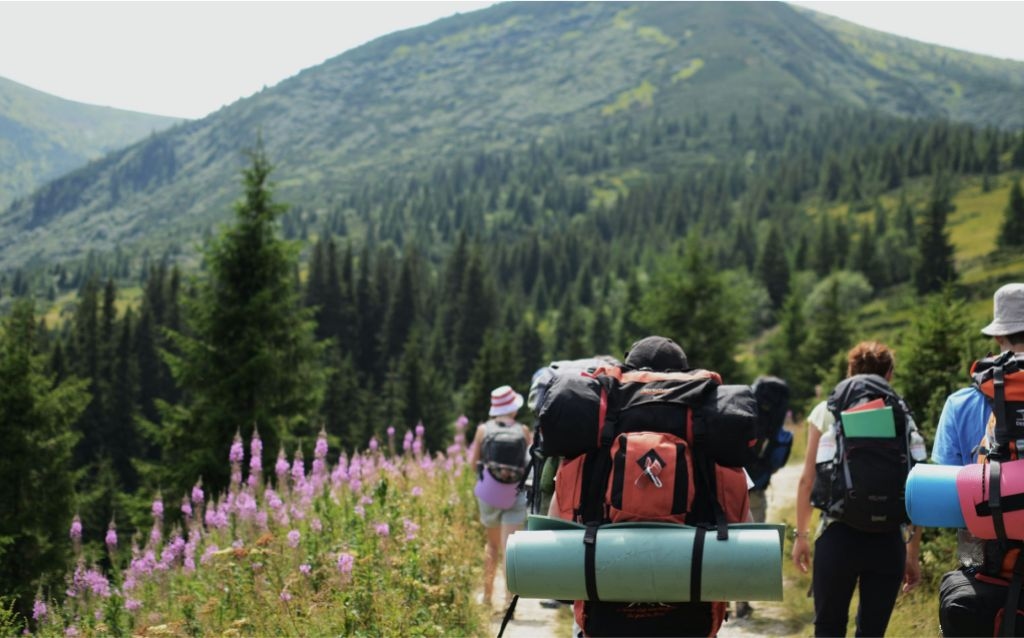 o que esperar viagem de outono | grupo de viajantes fazendo uma trilha em um área verde com montanhas, flores e pinheiros