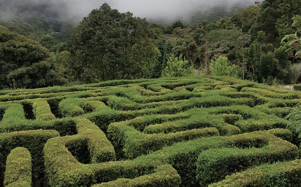 parque amantikir jardim extenso com um labirinto feito de arbustos
