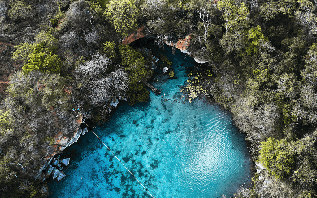 Vista de vegetação exuberante no Parque Nacional da Chapada Diamantina, com águas cristalinas refletindo a luz do sol