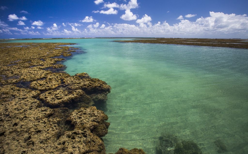 porto de galinhas praia com água cristalina em um dia ensolarado
