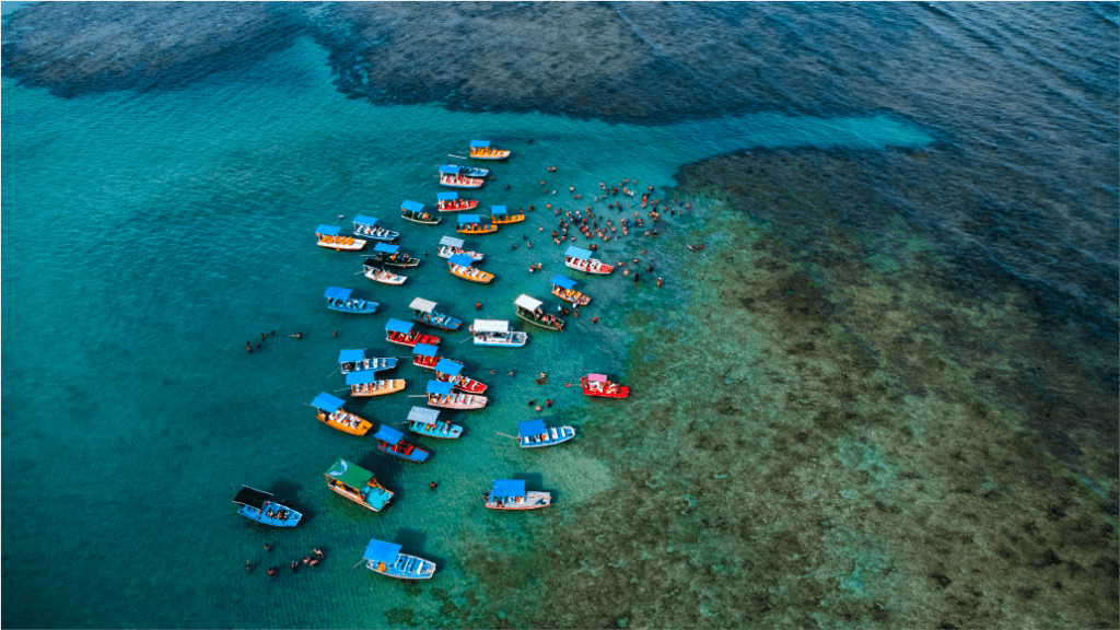 Vista de cima de barcos em uma bahia de São Miguel dos Milagres.