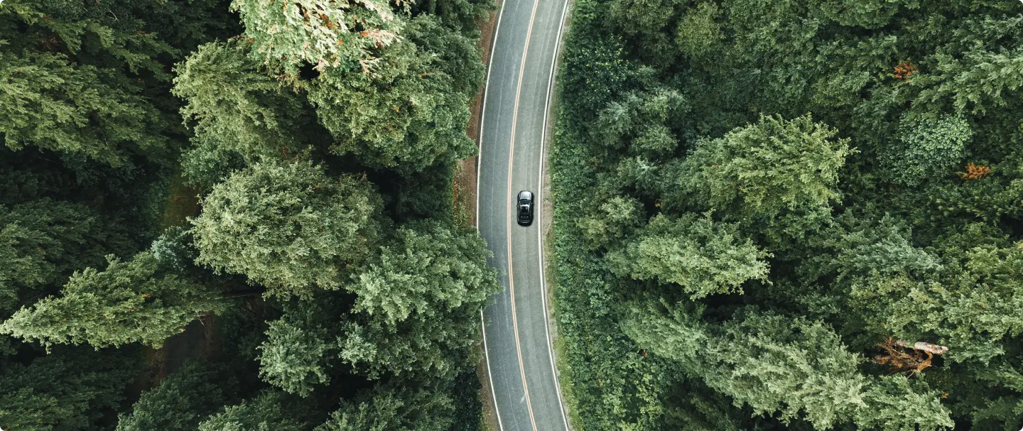 Carro em estrada vista aérea Carro preto em estrada sinuosa cercada por mata densa, visto de cima.